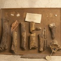 317-2000 TNM Museum Bison Bones Ice Age